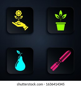 Set Gardening handmade scissors for trimming, Hand holding flower, Pear and Flowers in pot. Black square button. Vector