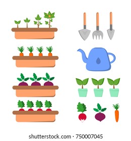 Set of gardening items with vegetables and tools