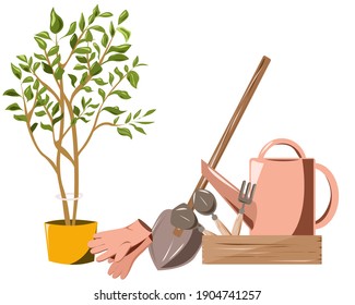 Un conjunto de herramientas de jardinería y un pequeño árbol de macetas.