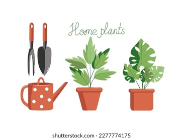 A set of gardening tools, a watering can , house plants. Isolated on a white background. Colored vector illustration. Floristics and gardening, hobbies, outdoor activities. Horticulture, agronomy sign