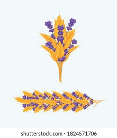 Set of garland and bouquet of golden ears of wheat and lavender. Ecology and beauty in nature. Multi-colored image. Design element. Vector illustration.