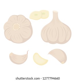 Set of garlic heads gloves and slices vector illustration isolated on white background.