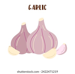 Set of garlic isolated on white. Garlic vegetable in flat style.