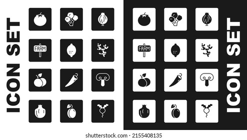 Set Garlic, Lemon, Location farm, Tomato, Ginger root, Broccoli, Mushroom and Mango fruit icon. Vector