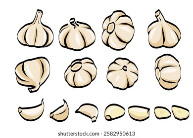 set of garlic vector illustration. isolated on white background. Vector eps 10. perfect for wallpaper or design elements