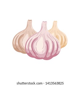 Set of garlics isolated on white background. Organic food. Cartoon style. Vector illustration for design.