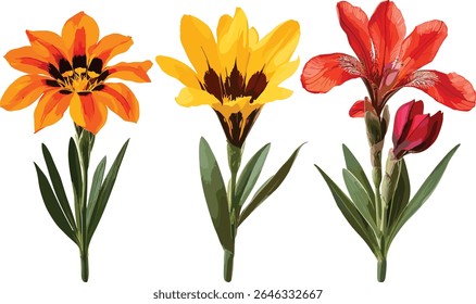 Conjunto de rigosidades Gazania, Iris tectorum, recorte isolado, árvore, flores de jardim, ilustração botânica, elementos florais, ilustração vetorial, plantas da natureza, flor tropical.