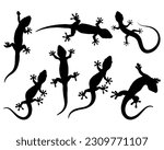 Set of Gecko Silhouette, Lizard