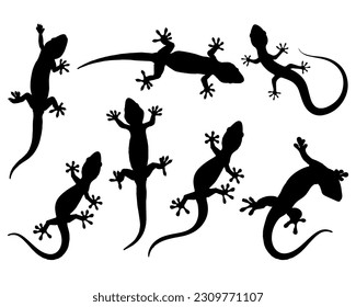 Set of Gecko Silhouette, Lizard
