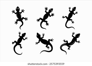 Set of gecko vector illustration