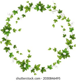 Set of geen vine, liana or ivy hanging from above or climbing the wall.Decoration for garden or home.Template on white background.