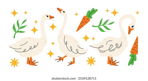 Conjunto de gansos en varias poses. Ilustración vectorial de dibujos animados aislados en el fondo. Diseño de animales de granja adorables pájaros en diferentes poses, personajes divertidos