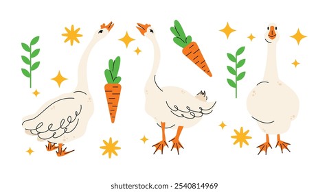 Conjunto de gansos em várias poses. Ilustração de vetor de desenhos animados isolada no fundo. Design de animais de fazenda pássaros adoráveis em poses diferentes, personagens engraçados