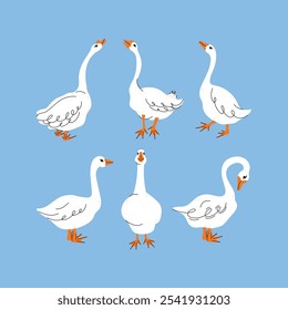 Conjunto de gansos en varias poses. Ilustración vectorial de dibujos animados aislados en el fondo. Diseño de animales de granja adorables pájaros en diferentes poses, personajes divertidos