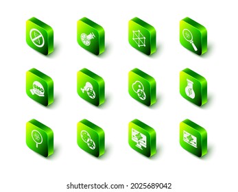 Ajuste naranja modificado genéticamente, OMG, vidrio de riesgo biológico y de aumento, matraz de tubo de ensayo, modificación de ingeniería, carne e icono. Vector