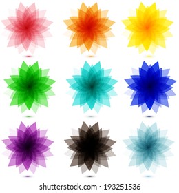 set of gentle colors flowers. multifunction universal collection of vector units