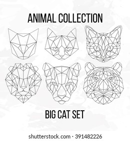 Set of geometric cat tiger lion puma head isolated on white background vintage vector design element illustration