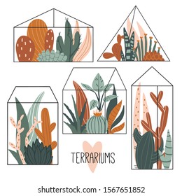 Set of geometric glass terrariums with tropical plants, succulents and cactuses. Modern home decor collection with exotic flowers, leaves. Urban jungle. Cute hand drawn flat style illustration. Vector