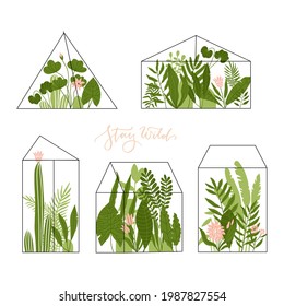 Set of geometric glass terrariums with tropical plants, succulents and cactuses. Modern home decor collection with exotic flowers, leaves. Urban jungle collection. Flat hand drawn flat illustration