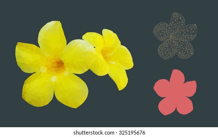 set of geometric Golden Trumpet Flowers (Allamanda cathartica) vector in grey background 