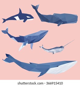 Set of geometric pantone whales isolated on a background vintage design element image