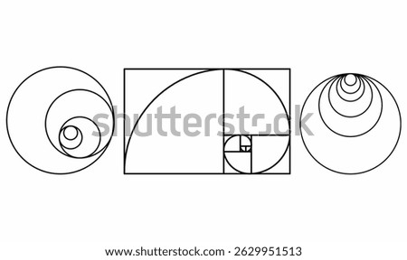 Set of geometric spirals Fibonacci, golden ratio, and concentric circles. Ideal for math, design, education and art concepts. Clean black line vector illustration.