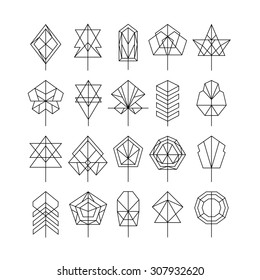 Set of geometric trees and leaves in hipster linear style. Vector illustration
