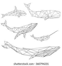 Set of geometric whales isolated on white background vintage vector design element illustration