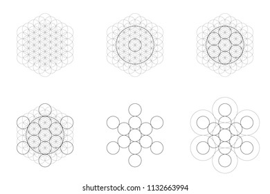 Set of geometrical elements and shapes. Sacred Geometry Flower of Life and Metatron Cube transition. Vector designs