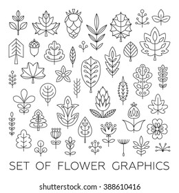Set of Geometrical leaves, trees and flowers. Linear style. Vector illustration for your cute design.