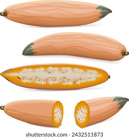Conjunto de calabaza asada de caramelo de Georgia. Calabaza de invierno. Cucurbita máxima. Frutas y verduras. Ilustración aislada del vector.