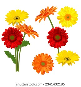 Flores de Gerbera aisladas de fondo blanco. ilustración vectorial.