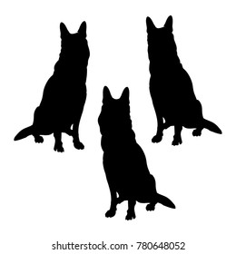 Set of german shepherd dogs silhouettes. Vector illustration isolated on the white background