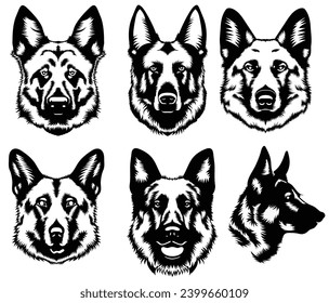 Set of german shepherd's head portrait. German Shepherd Dog Puppy . Vector illustration