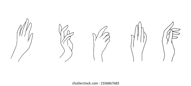 A set of gestures of female palms. Thin hand lines on a white background.