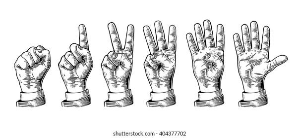 Set of gestures of hands counting from zero to five.  Vector vintage engraved illustration isolated on white background.