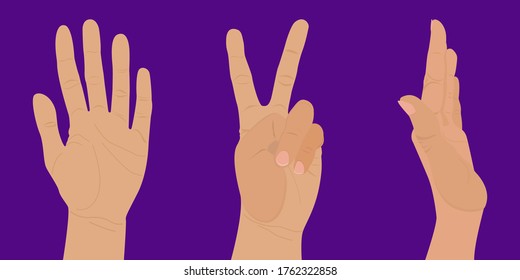 Set of gestures and hands in different poses. Vector illustration of hands isolated on a purple background