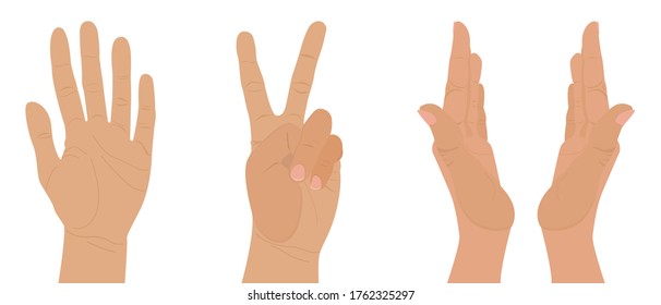 Set of gestures and hands in different poses. Vector illustration of hands isolated on a white background