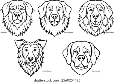 Set of Giant Breeds dog Line Art vector illustration