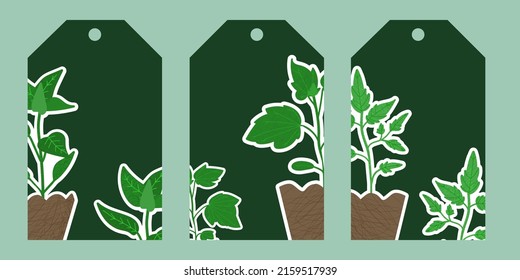 Set of gift tags with garden plant: pepper, cucumber, tomato. Biophilia design elements. Abstract contemporary modern trendy nature vector illustration