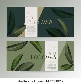 Juego de plantillas de cupón de regalo para Spa, Hotel Resort, Vector ilustración. Fondo natural de la hoja de embalaje de promoción de marca. Estilo minimalista y moderno. ilustración vectorial