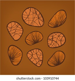 Set of ginger decorative stones and shells. Vintage elements for arts, cards, textile, wallpapers, web pages, labels
