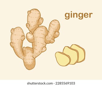 set of ginger. isolated illustration