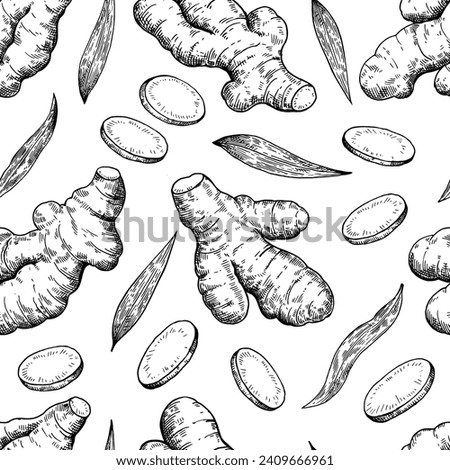 Set of ginger roots in engraving style. Black and white ink illustration. Vector print