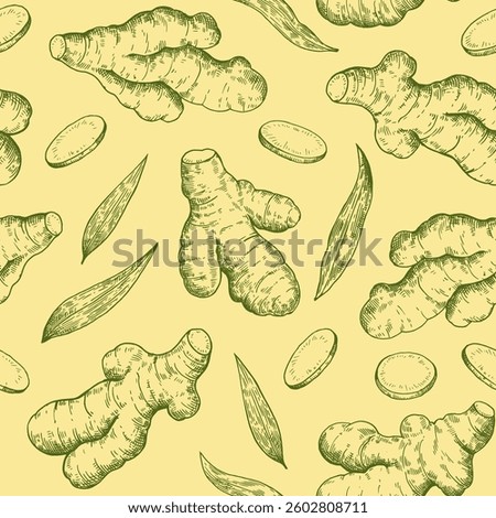 Set of ginger roots in engraving style. Black and white ink illustration. Vector print Stock photo © 