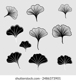 Set of gingko leaves isolated, line art, element for design, black and white colors.