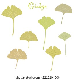 Set ginkgo biloba. Flat style. Vector illustration 