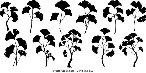 Set of ginkgo biloba tree branches isolated on the white background. Big collection of big and small sticks with leaves. Vector illustration in simple silhouette style