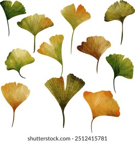 Conjunto de Ginkgo Biloba Aquarela Ilustração