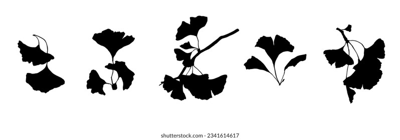 Set of ginkgo leaf silhouettes. Vector graphics.